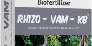 Rhizo-Vam-KB Bio Fertilizer