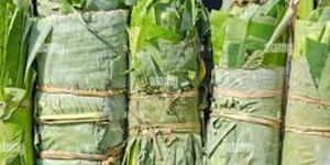 Banana Leaf Bundles