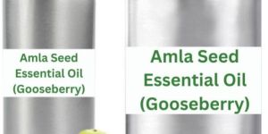 Amla Seed Essential Oil