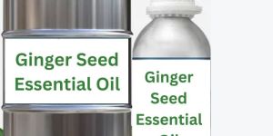 Ginger Seed Essential Oil