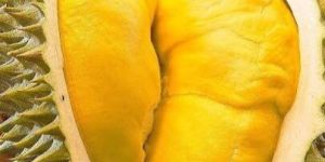 Durian