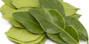 Kaffir Lime Leaves
