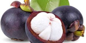 Mangosteen