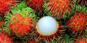 Rambutan