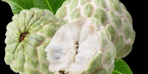 Sugar Apple