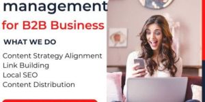 Social Media Management for B2B Business