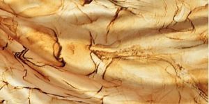 Digital Polyester Fabric Printing Services