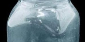 30 Ml Honey PET Bottles