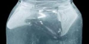 50 Ml Honey PET Bottles