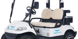 2 Seater Electric Golf Cart