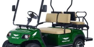 Electric Golf Cart