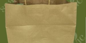 Plain Brown Kraft Paper Bags