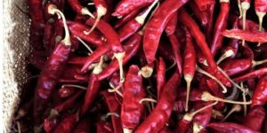 Red Chilli