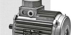 Carpanelli Electric Motors