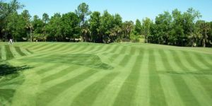 Golf Course Landscaping Services