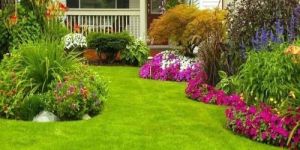 Home Garden Designing Services