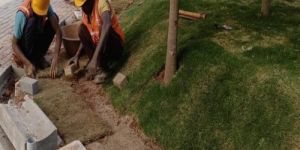 Horticulture Construction Work