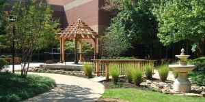 Hospital Garden Landscaping Services