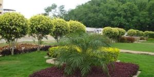 Hotel Gardening Services