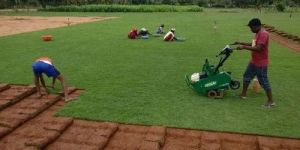 Landscape Maintenance & Management Services