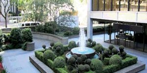 Office Gardening Services