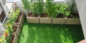 Roof Gardening Services