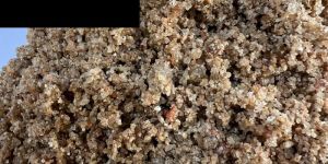 Double Washed River Sand