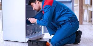 Carrier Refrigerator Repairing Service