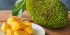 Jack Fruit