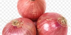 Onions