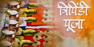 Tripindi Shard Puja Service