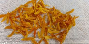 Dehydrated Natural Mango Slice
