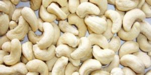 W240 Cashew Nut
