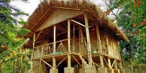 Bamboo House