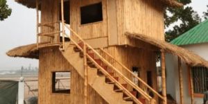 Bamboo House Construction Service