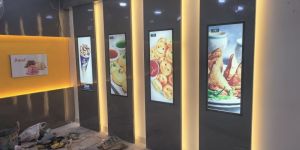 Modern Wall Paneling Designing Service