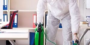 Pest Control Services