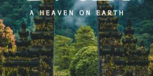 Visa Consultancy Services