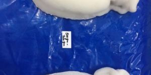 Frozen Whole Cleaned Cuttlefish