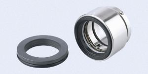 PS240 Pusher Seals