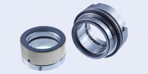 PS700N Pusher Seals