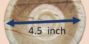 4.5 Inch Sal Leaf Cups