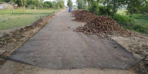 Polyester Geogrid