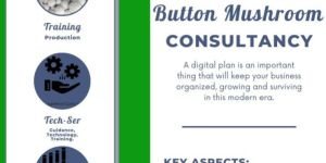 Button Mushroom Consultancy Services