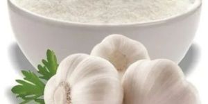 White Spray Dried Garlic Powder