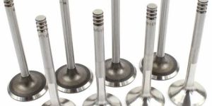 Inlet and Exhaust Valve