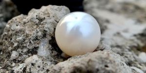 South Sea Pearls