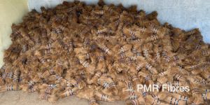 Brown Coir Bristle Fibre