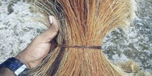 Brown Coir Fibre