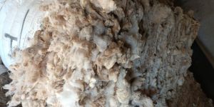 Wool Waste